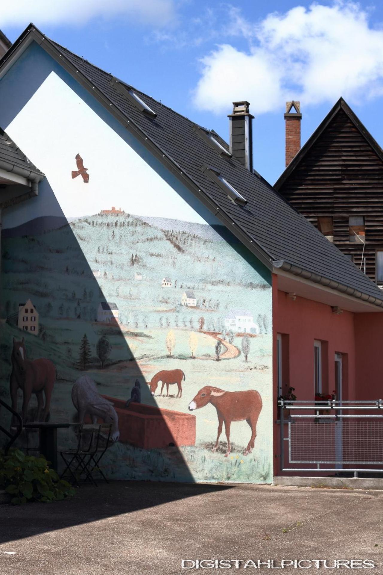 Gîte à La Montagne Labaroche Esterno foto